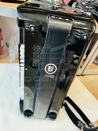 Predám profesionálny akordeón Borsini Wienna 374- 96 basový