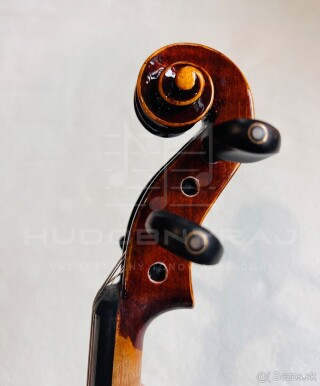redám husle, 4/4 husle: "Braun Bird T012", model Stradivari